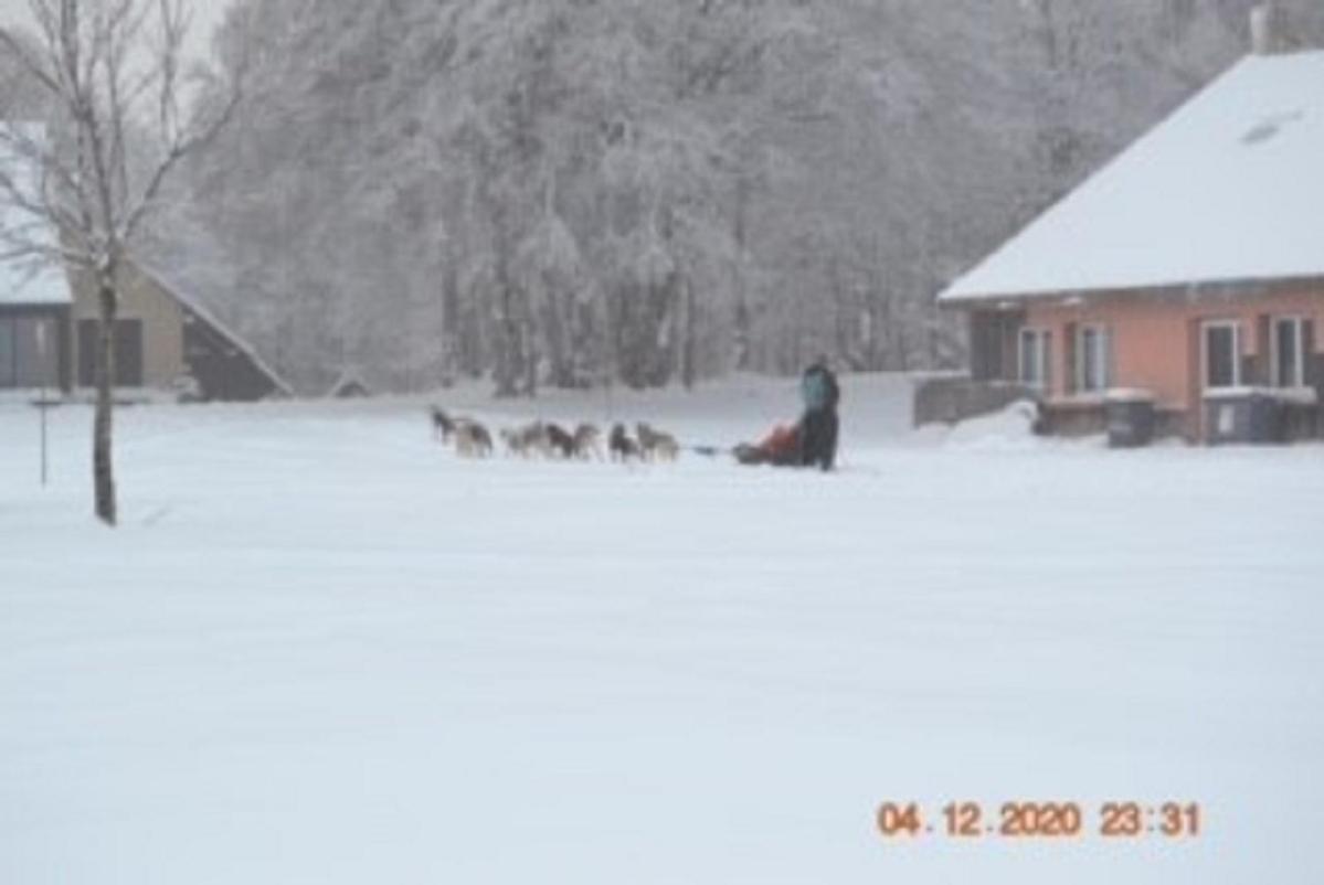 Lo Vedelier D'Aubrac Lägenhet Laguiole Exteriör bild