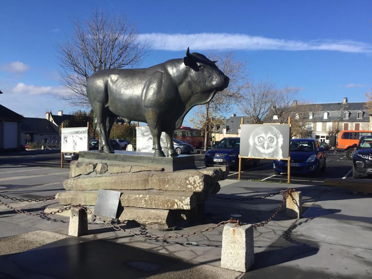 Lo Vedelier D'Aubrac Lägenhet Laguiole Exteriör bild