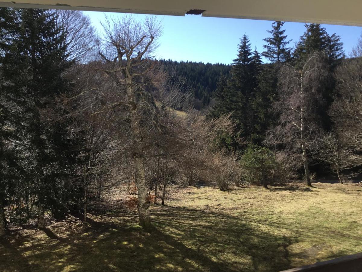 Lo Vedelier D'Aubrac Lägenhet Laguiole Exteriör bild