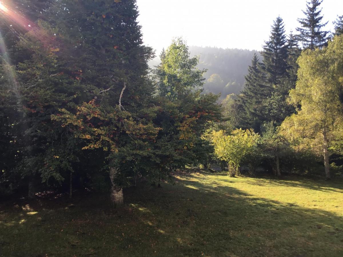 Lo Vedelier D'Aubrac Lägenhet Laguiole Exteriör bild