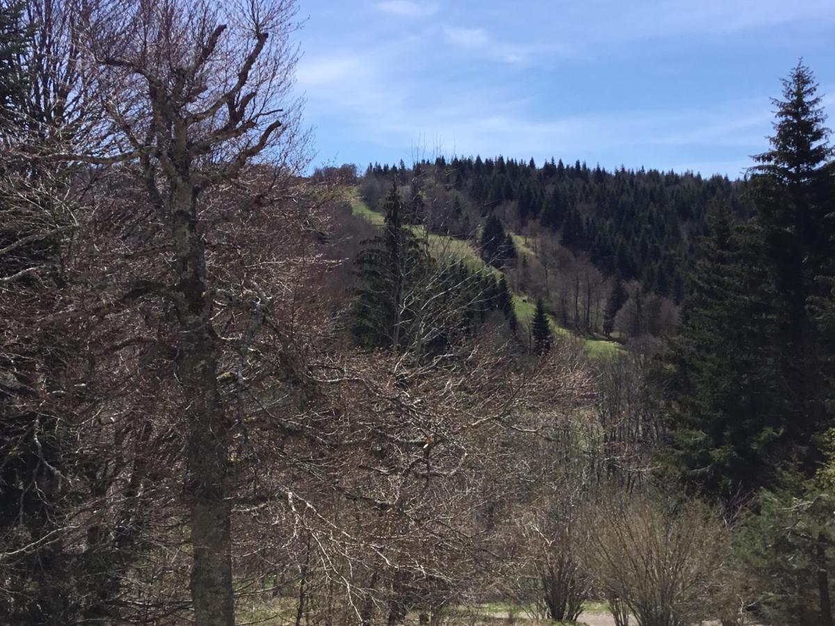 Lo Vedelier D'Aubrac Lägenhet Laguiole Exteriör bild
