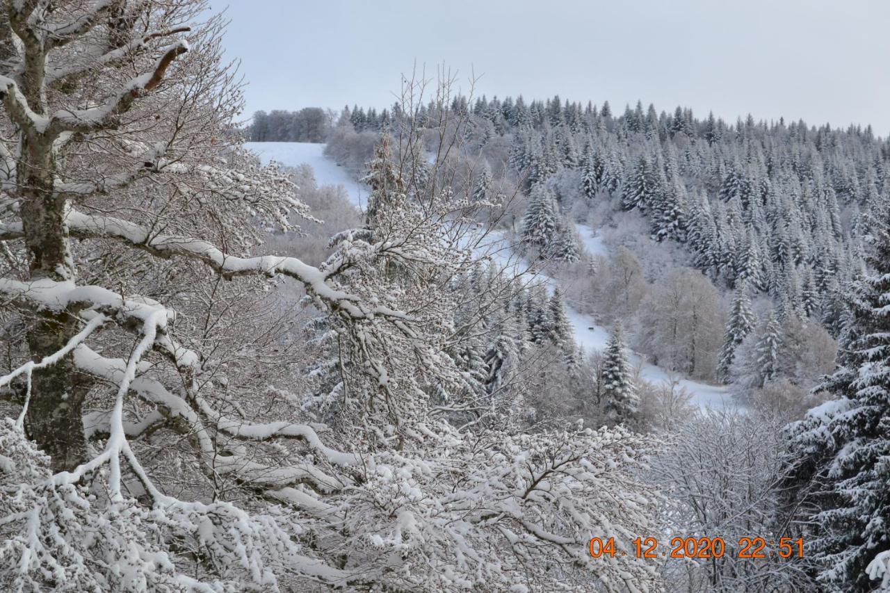 Lo Vedelier D'Aubrac Lägenhet Laguiole Exteriör bild