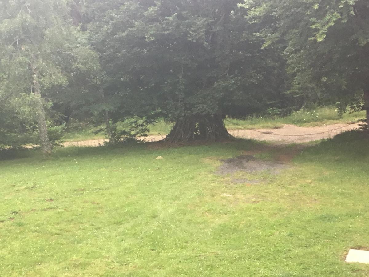 Lo Vedelier D'Aubrac Lägenhet Laguiole Exteriör bild