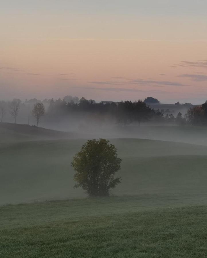 Lo Vedelier D'Aubrac Lägenhet Laguiole Exteriör bild